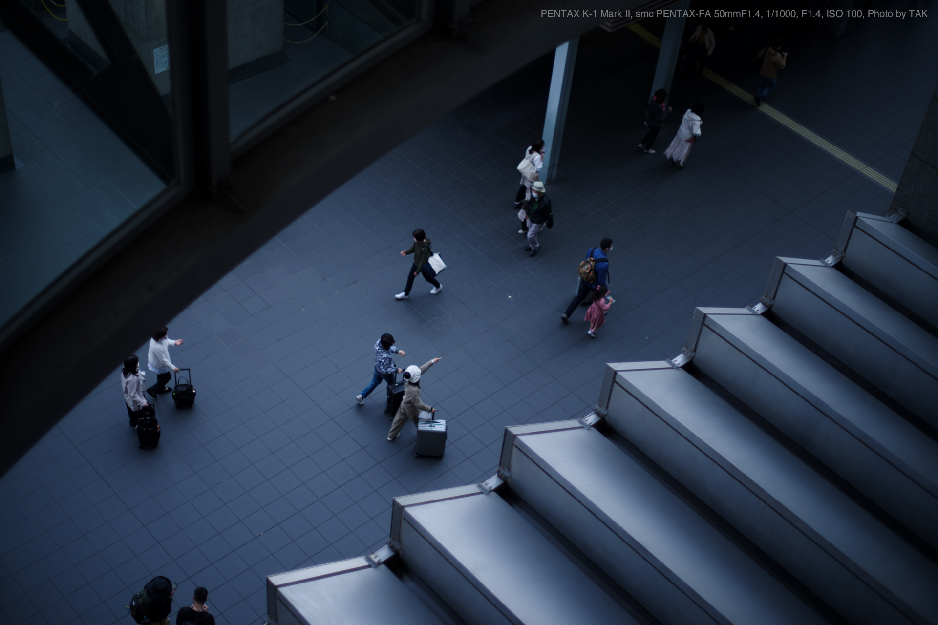 PENTAX（ペンタックス） smc PENTAX-FA50mmF1.4 実写レビュー | フォト