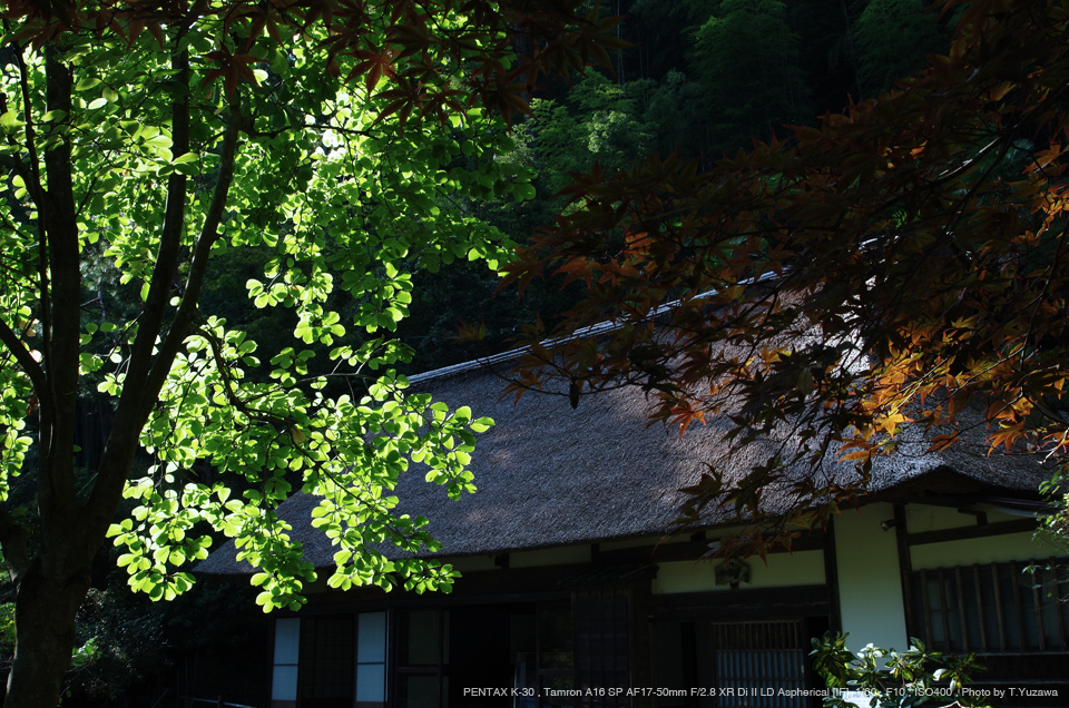 TAMRON（タムロン） SP AF17-50mm F/2.8 XR Di II LD Aspherical [IF