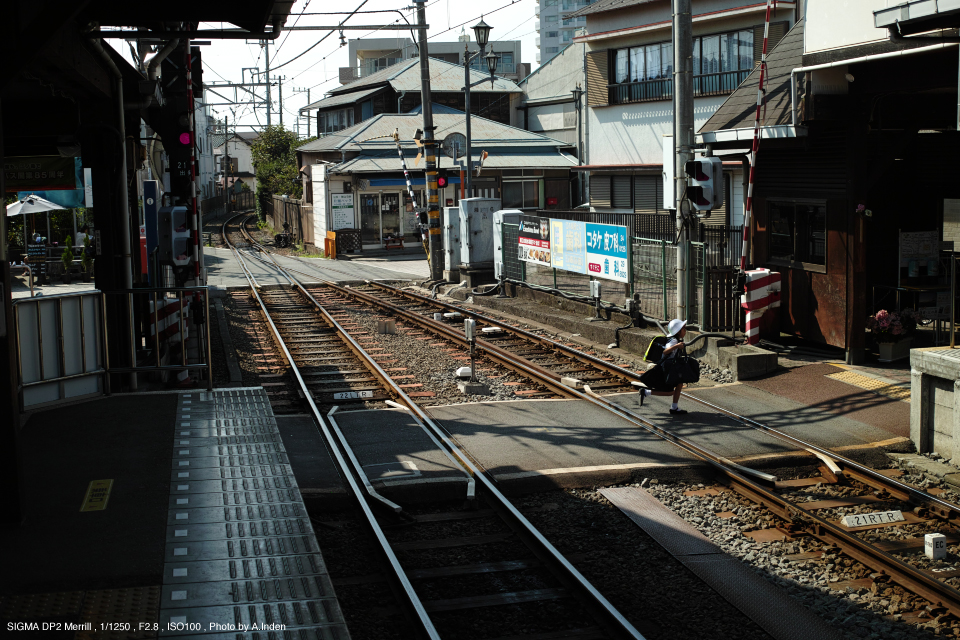 CASE OF SIGMA | DP2 Merill 実写インプレッション | -photo.yodobashi