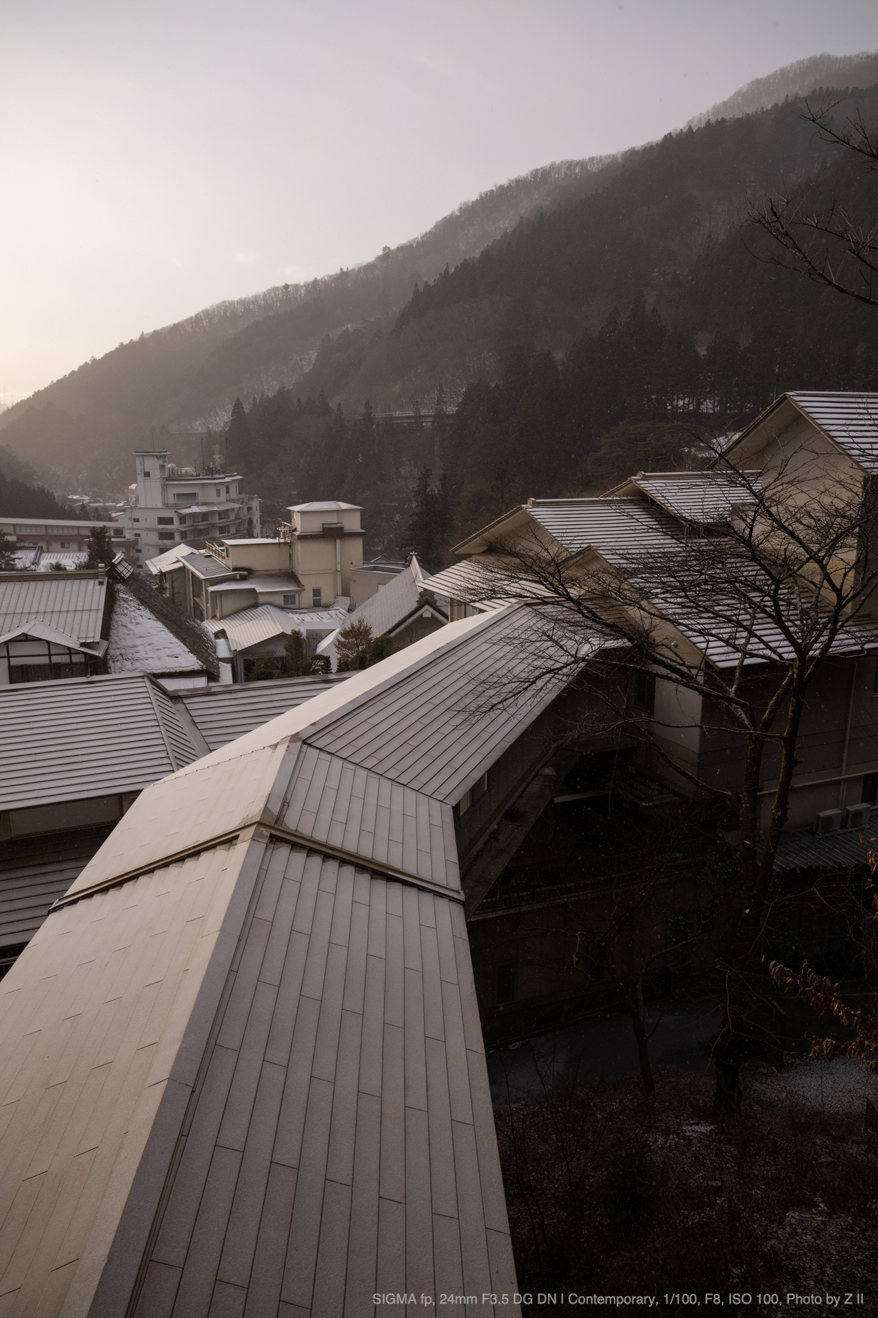 SIGMA（シグマ） 24mm F3.5 DG DN | Contemporary 実写レビュー