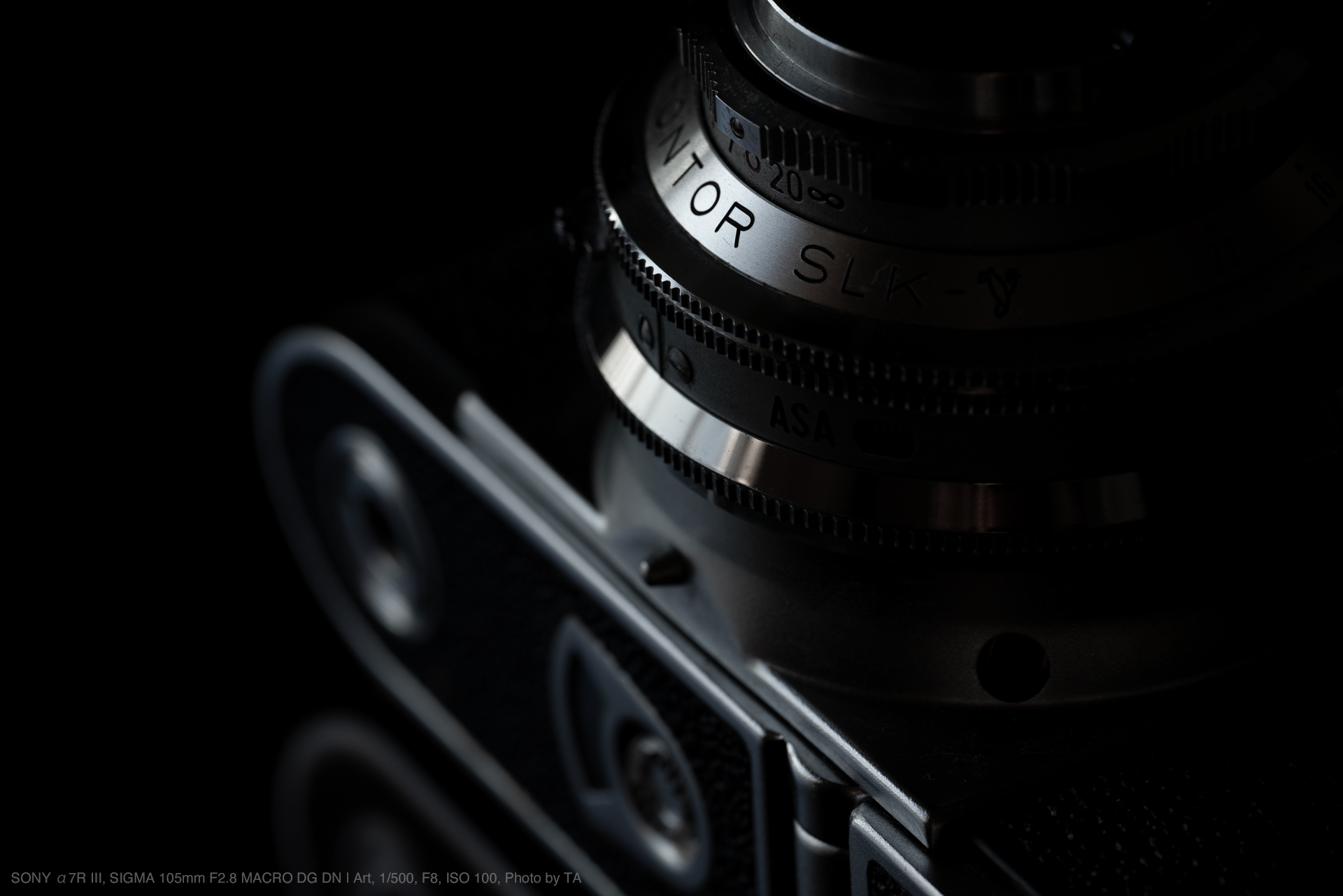 カメラ レンズ(単焦点) SIGMA（シグマ） 105mm F2.8 DG DN MACRO | Art 実写レビュー | フォト 