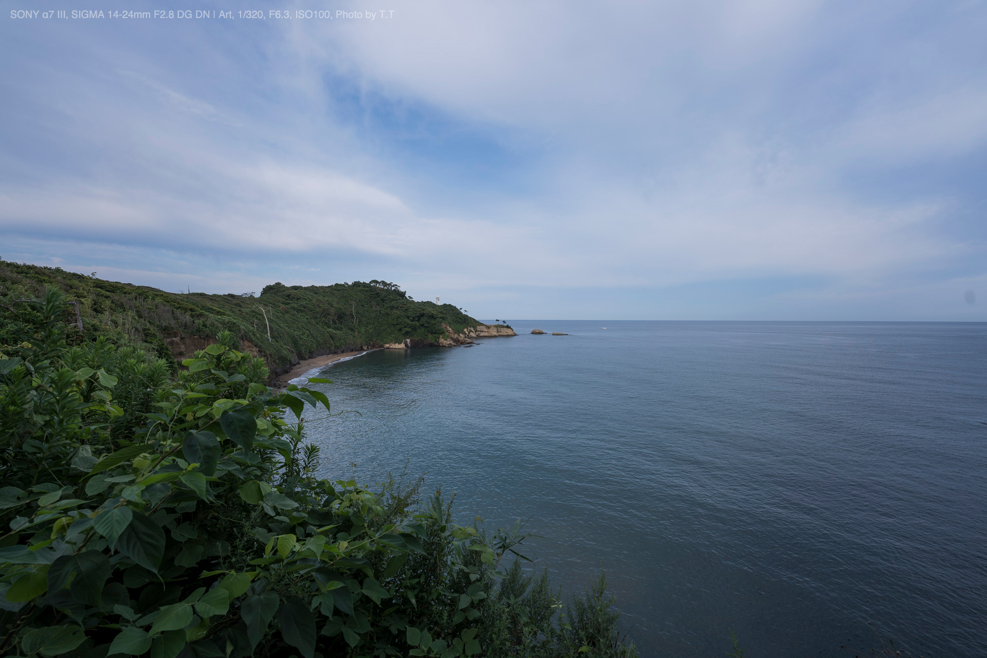 SIGMA（シグマ） 14-24mm F2.8 DG DN | Art 実写レビュー | フォトヨドバシ