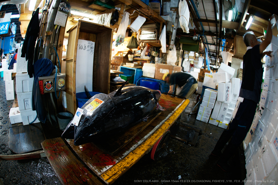 15mm F2.8 EX DG DIAGONAL FISHEYE シグマ 魚眼