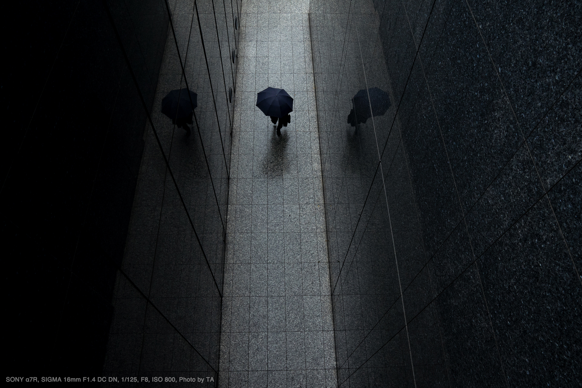 SIGMA（シグマ） 56mm F1.4 DC DN | Contemporary 実写レビュー