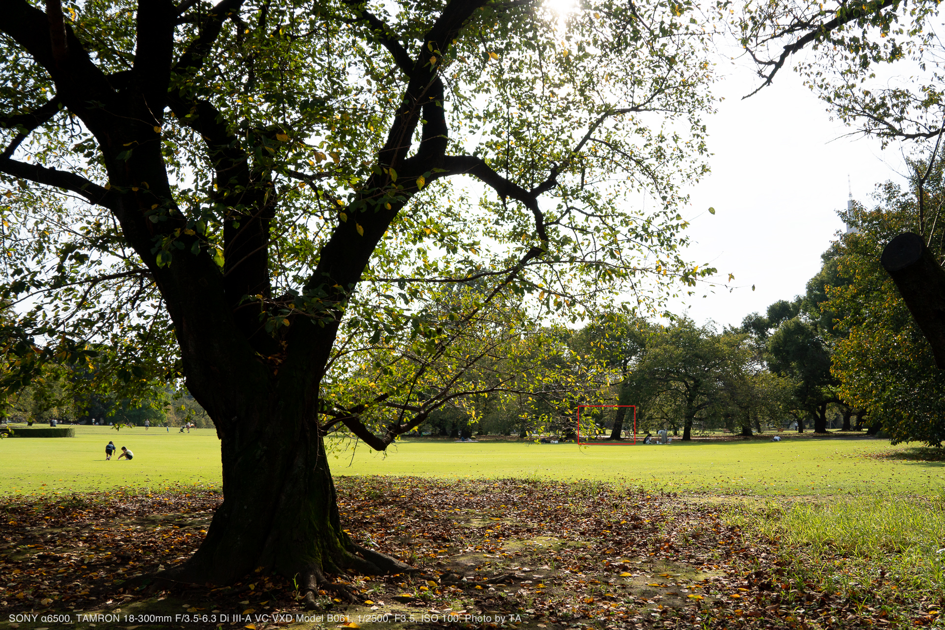 TAMRON（タムロン） 18-300mm F/3.5-6.3 Di III-A VC VXD Model