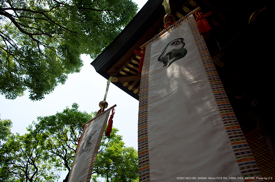 SIGMA（シグマ） 19mm F2.8 DN | Art 実写レビュー | フォトヨドバシ