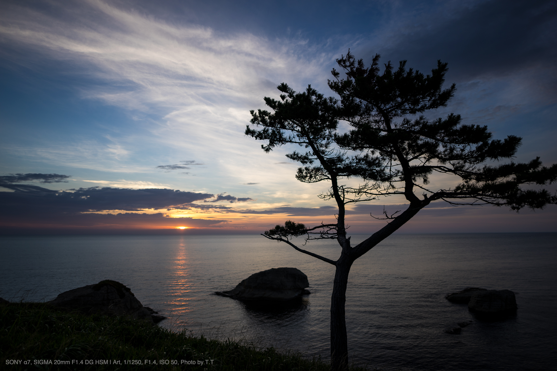 SIGMA（シグマ） 20mm F1.4 DG HSM | Art 実写レビュー | フォト