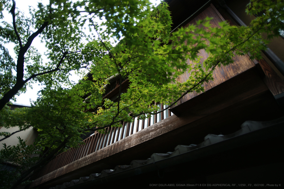 SIGMA 20mm  F1.8 EX DG aspherical 単焦点レンズ