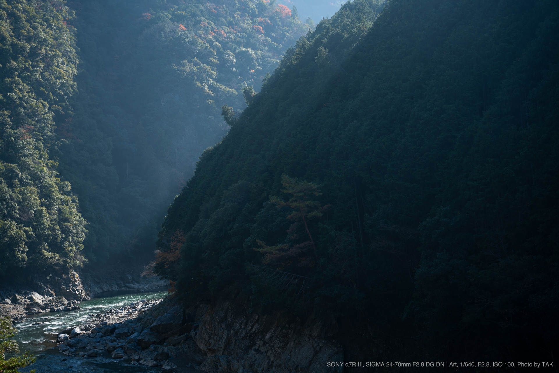 SIGMA（シグマ） 24-70mm F2.8 DG DN | Art 実写レビュー | フォトヨドバシ