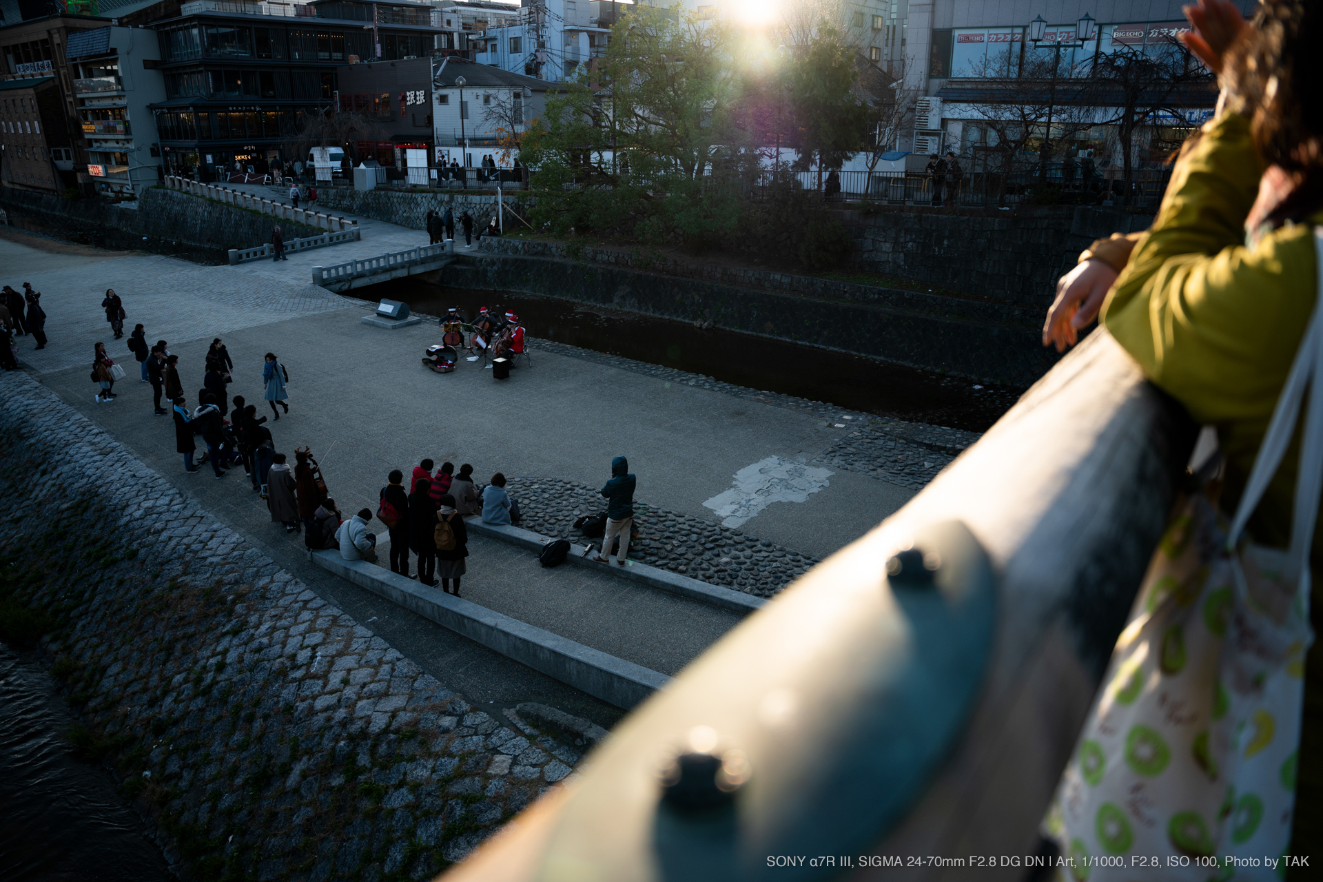 SIGMA（シグマ） 24-70mm F2.8 DG DN | Art 実写レビュー