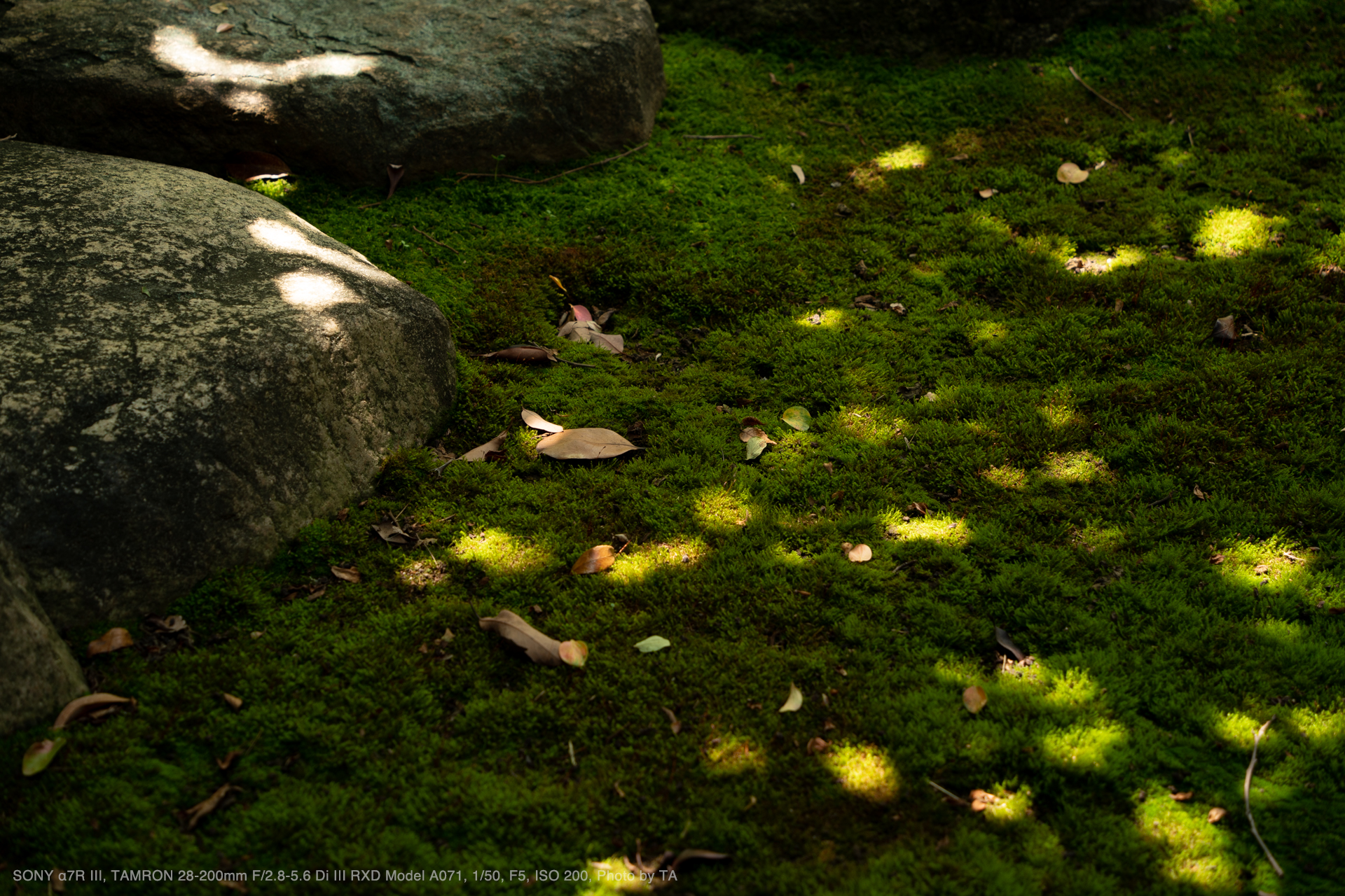 TAMRON（タムロン） 28-200mm F/2.8-5.6 Di III RXD Model A071 実写