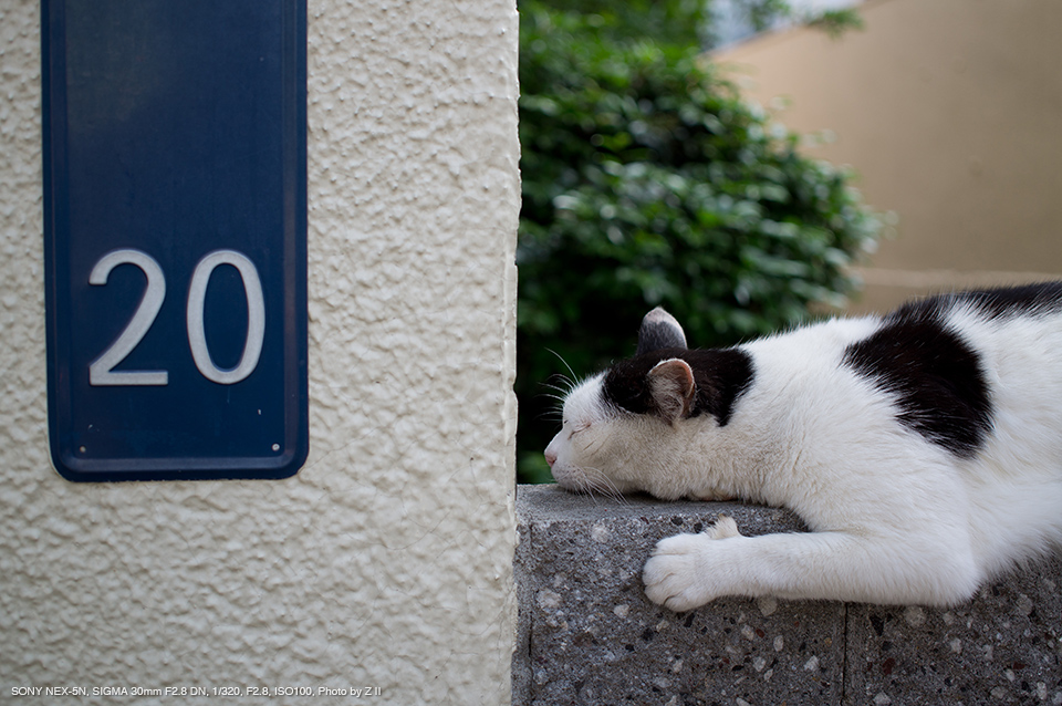 SIGMA 単焦点レンズ Art 30mm F2.8 DN