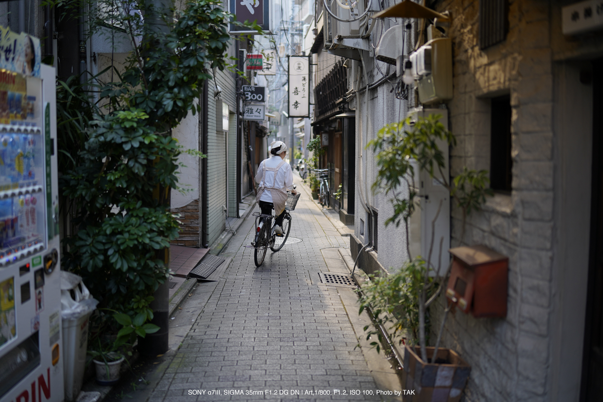 SIGMA（シグマ） 35mm F1.2 DG DN | Art 実写レビュー | フォトヨドバシ