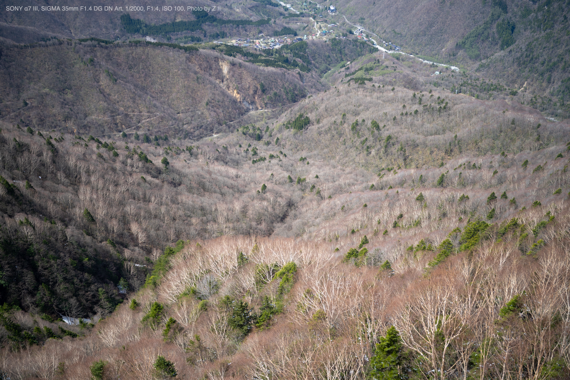 SIGMA シグマ Art 35mm F1.4 DG DN E-MOUNT