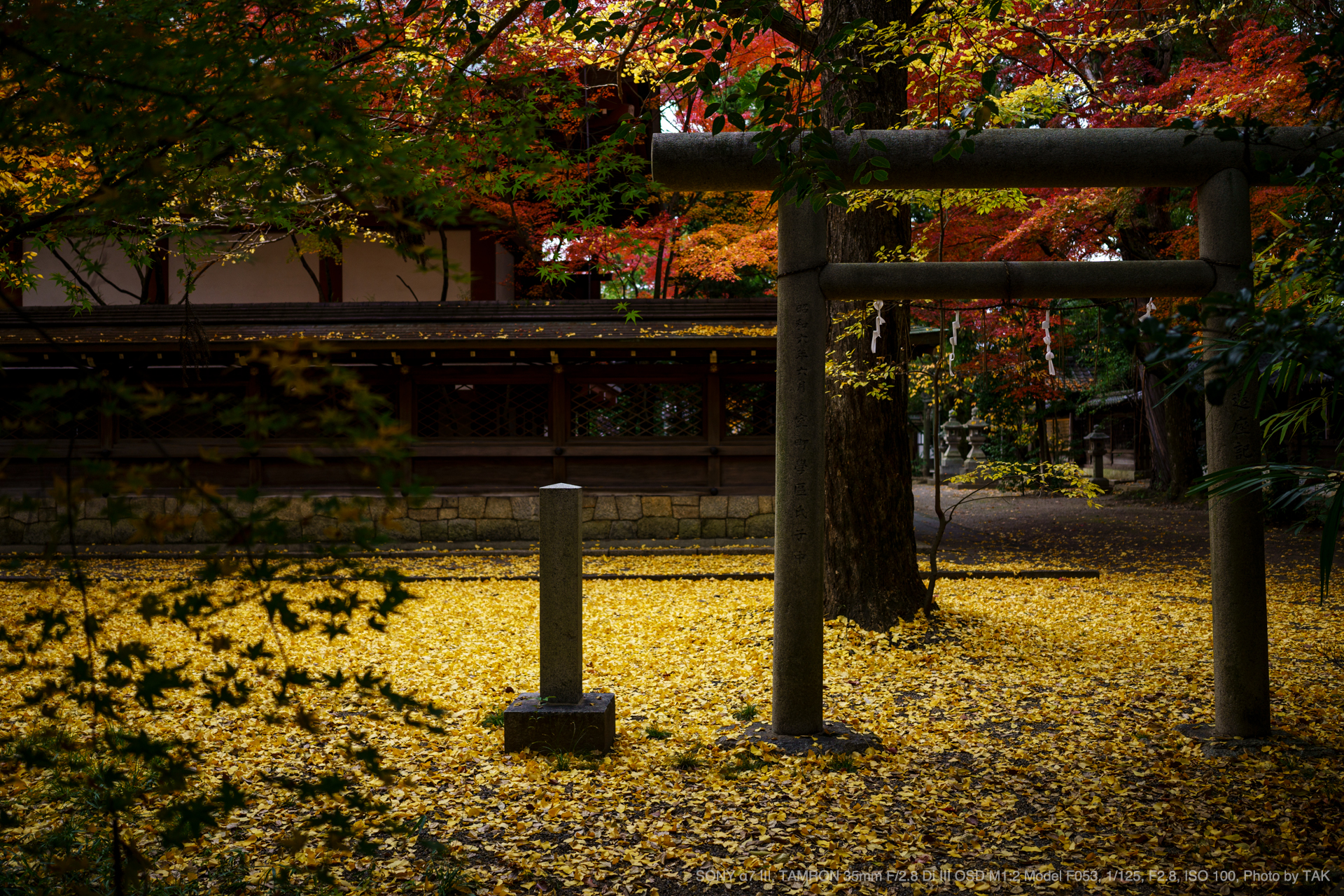 【カメラレンズ】TAMRON 35mm f/2.8 Di III ソニー