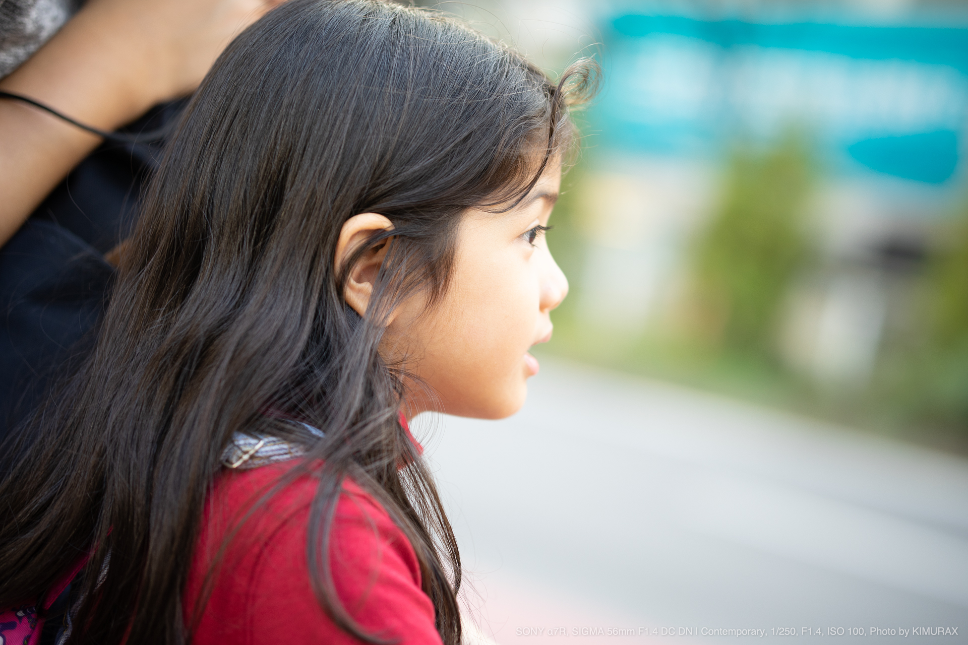 SIGMA（シグマ） 56mm F1.4 DC DN | Contemporary 実写レビュー ...