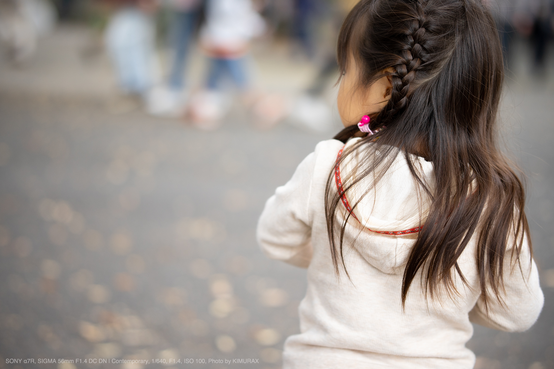 シグマ SIGMA 56mm F1.4 DC DN ソニー Sony E-