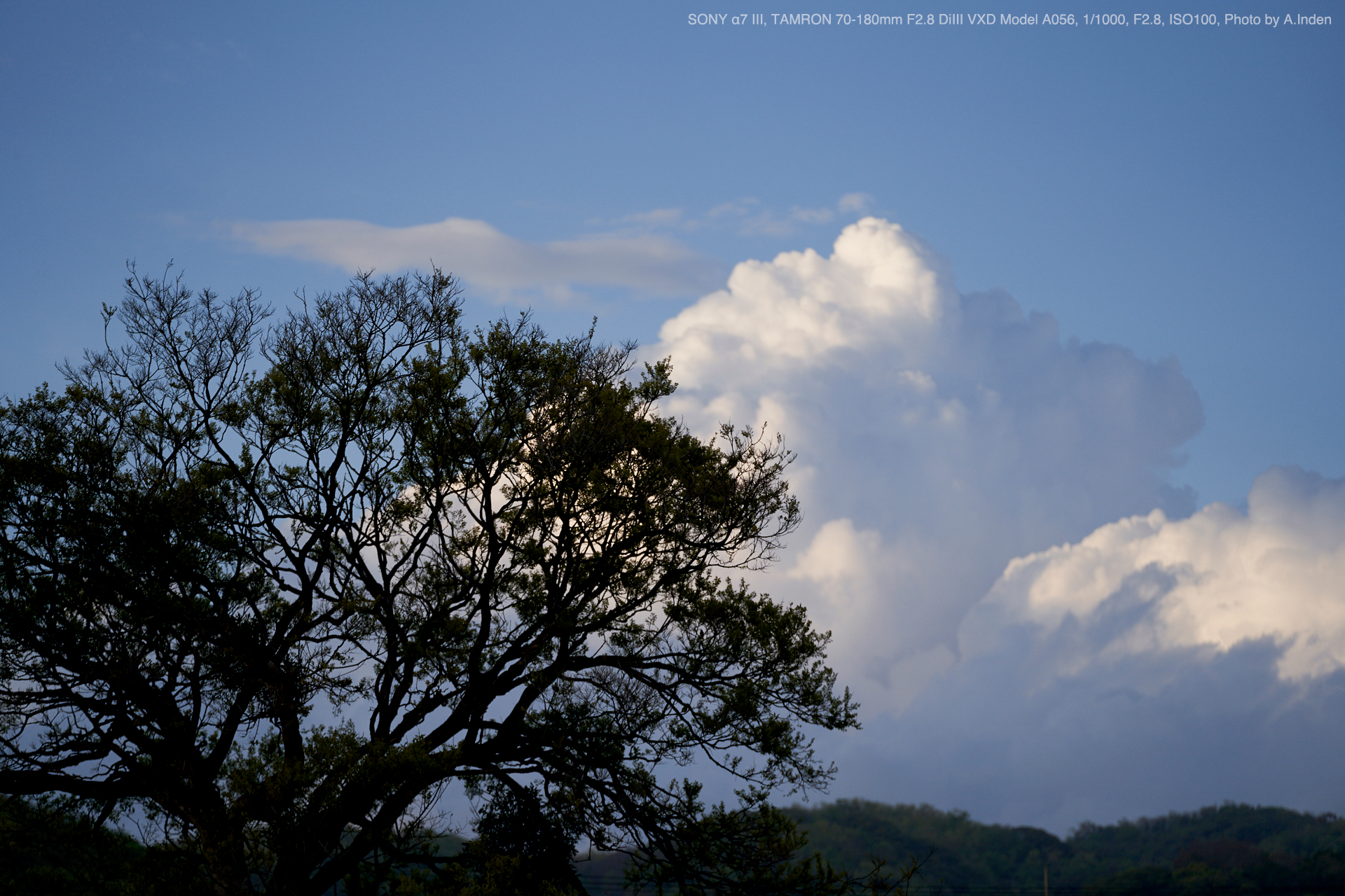 TAMRON（タムロン） 70-180mm F2.8 DiIII VXD Model A056SF 実写