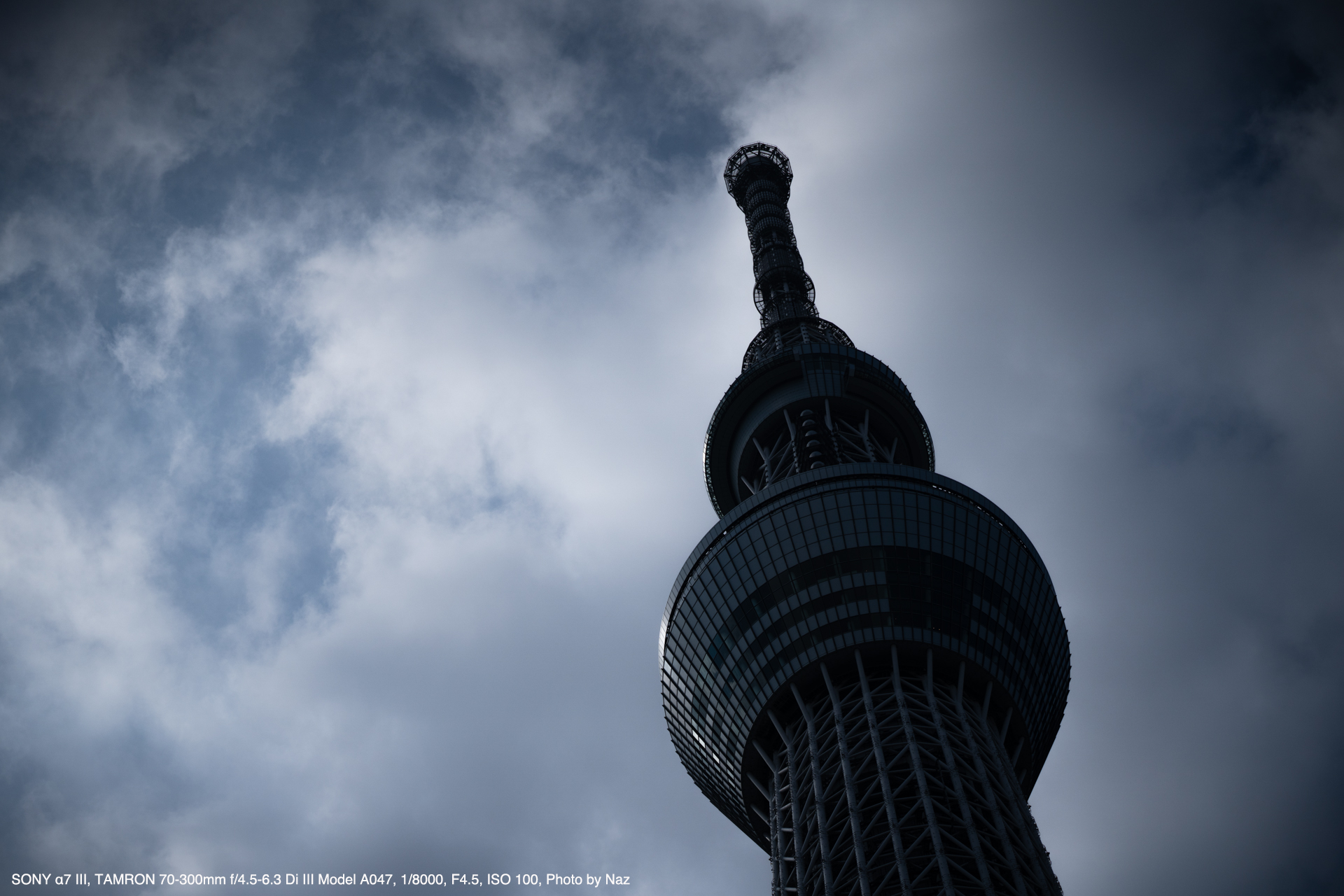 TAMRON（タムロン） 70-300mm F/4.5-6.3 Di III RXD Model A047 実写レビュー | フォトヨドバシ