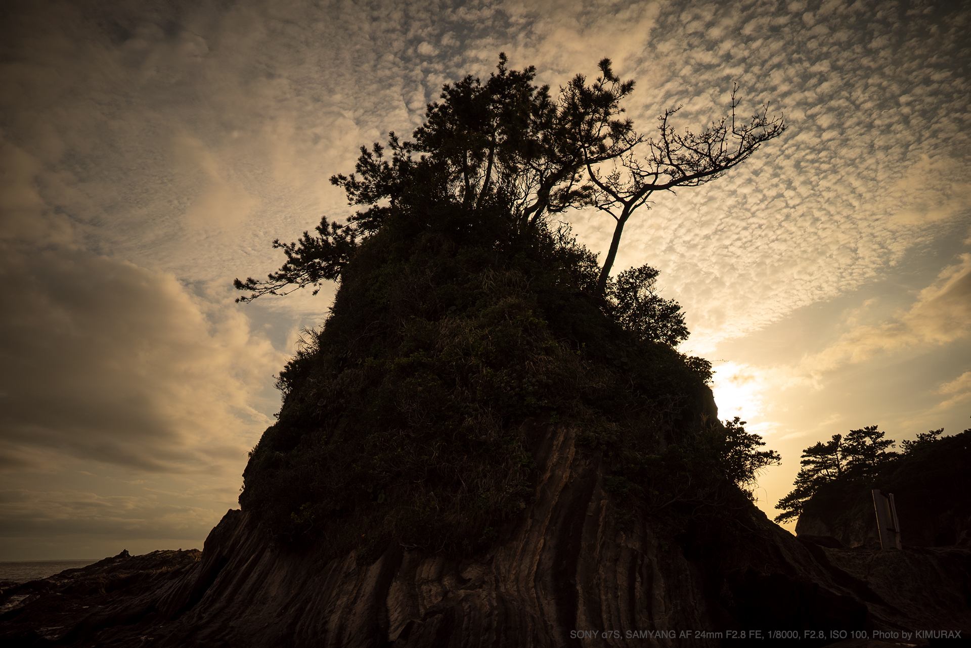 SAMYANG サムヤン AF 24mm F2.8 FE samyang