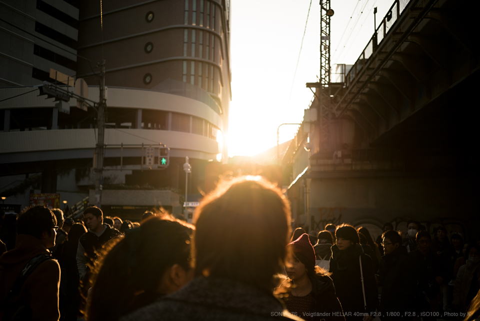 Voigtlander Heliar 40mm F2.8 SHOOTING REPORT | PHOTO YODOBASHI