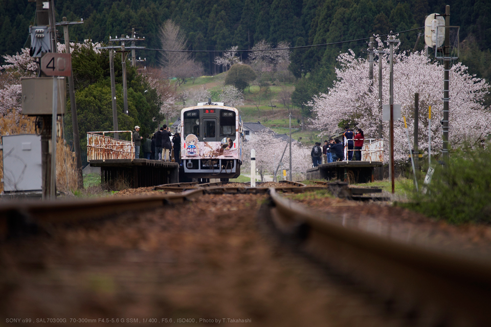 SONY（ソニー） SAL70300G 70-300mm F4.5-5.6 G SSM 実写レビュー