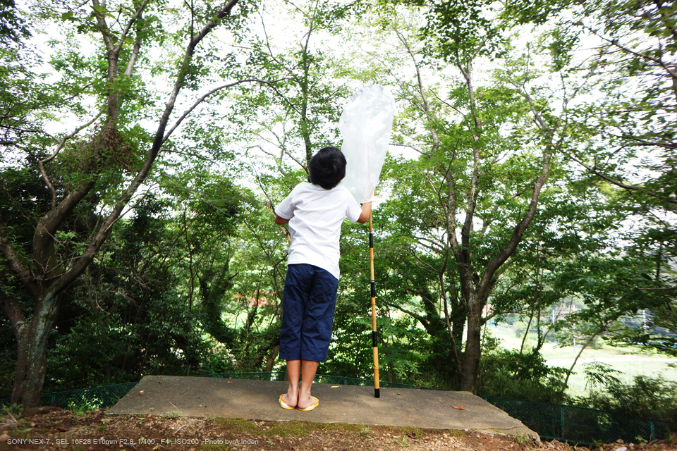 ソニー 16mm F2.8☆魅惑の単焦点レンズ☆