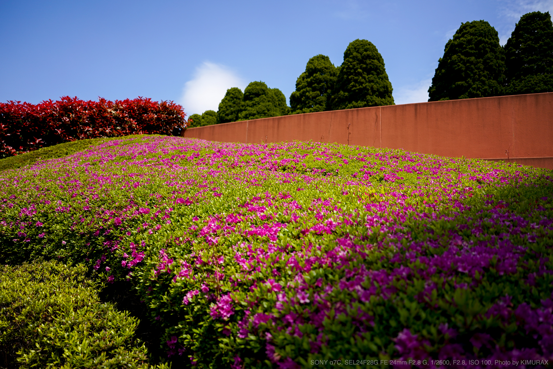 SONY（ソニー） SEL24F28G FE 24mm F2.8 G 実写レビュー | フォトヨドバシ