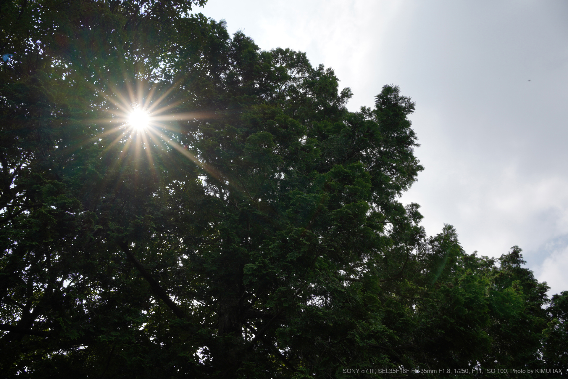 SONY α7 III, SEL35F18F FE 35mm F1.8, Photo by TAK