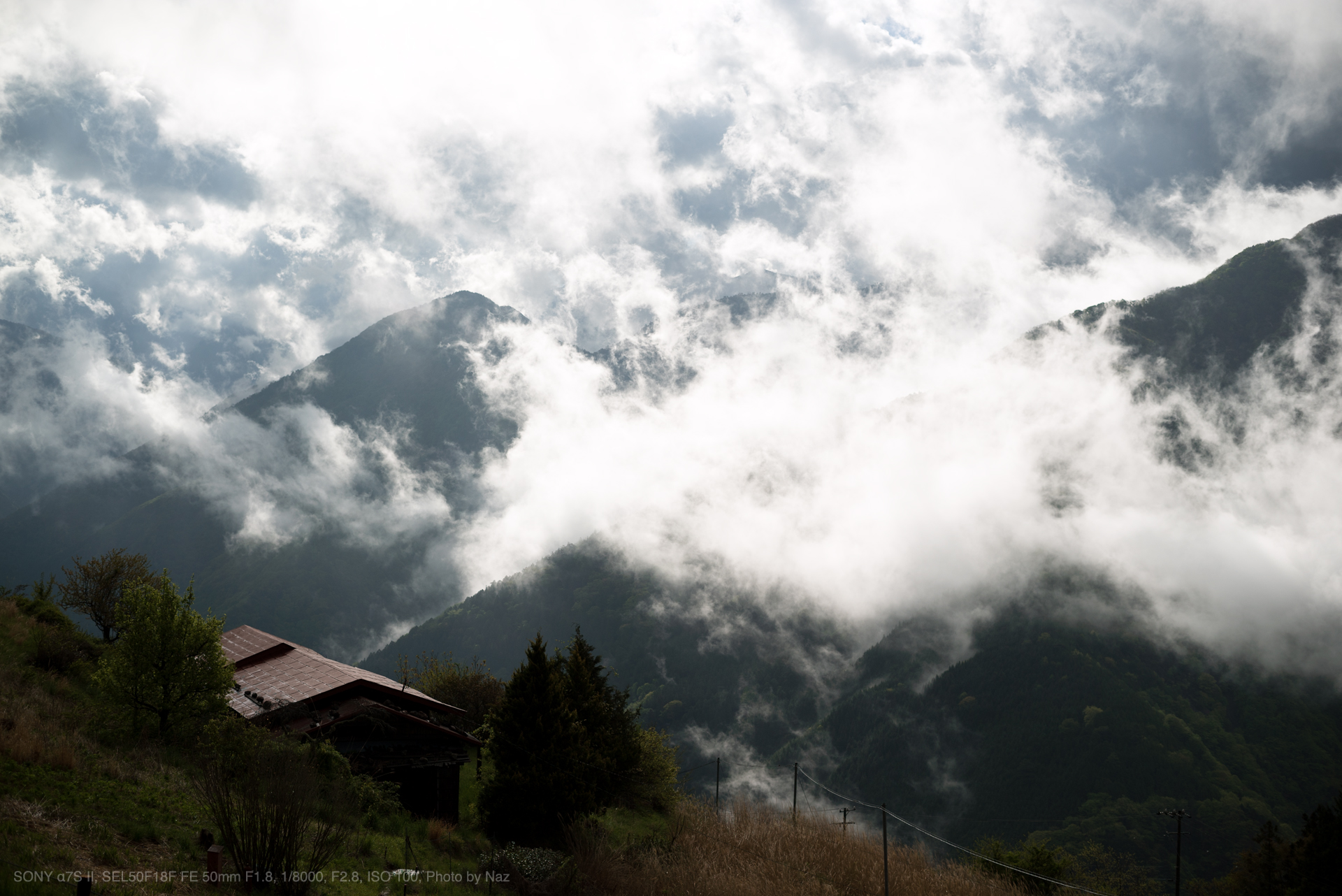 SONY（ソニー） SEL50F18F FE 50mm F1.8 実写レビュー | フォトヨドバシ