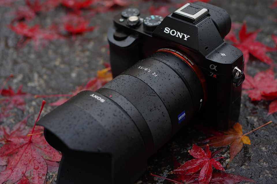 SONY FE 55mm f1.8 ZA