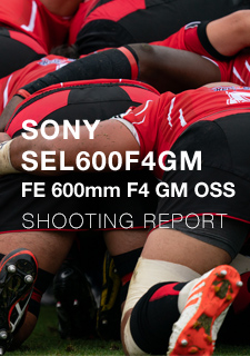 SONY SEL600F4GM FE 600mm F4 GM OSS  SHOOTING REPORT