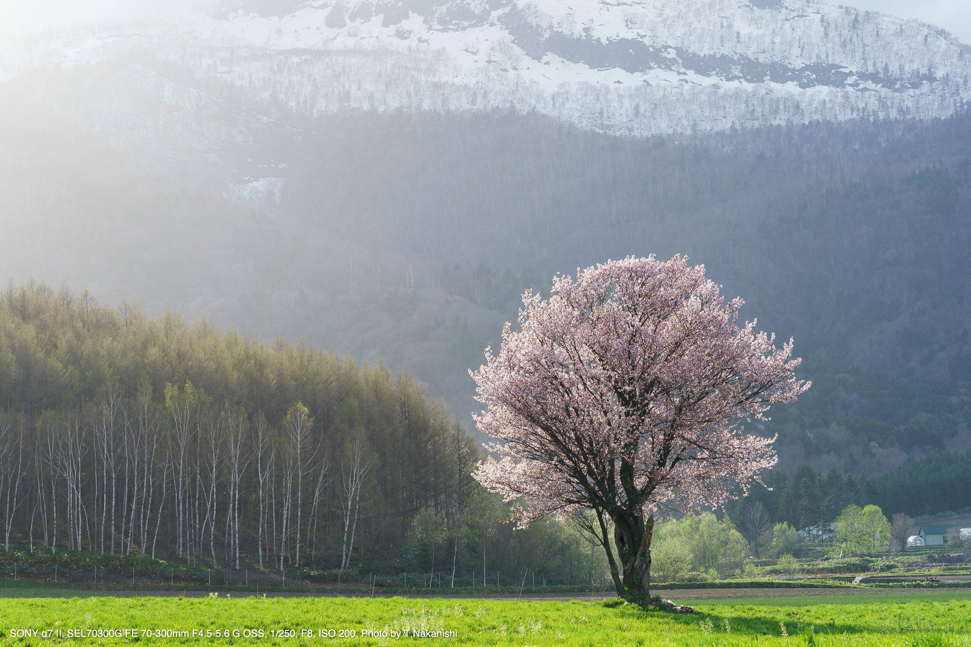 SONY（ソニー） SEL70300G FE 70-300mm F4.5-5.6 G OSS 実写レビュー ...