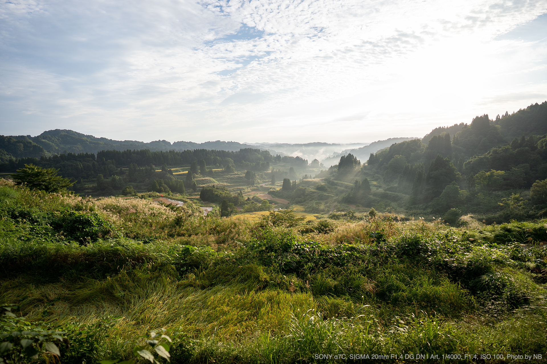 SONY α7C, SIGMA 20mm F1.4 DG DN | Art, 1/4000, F1.4, ISO 100, Photo by NB