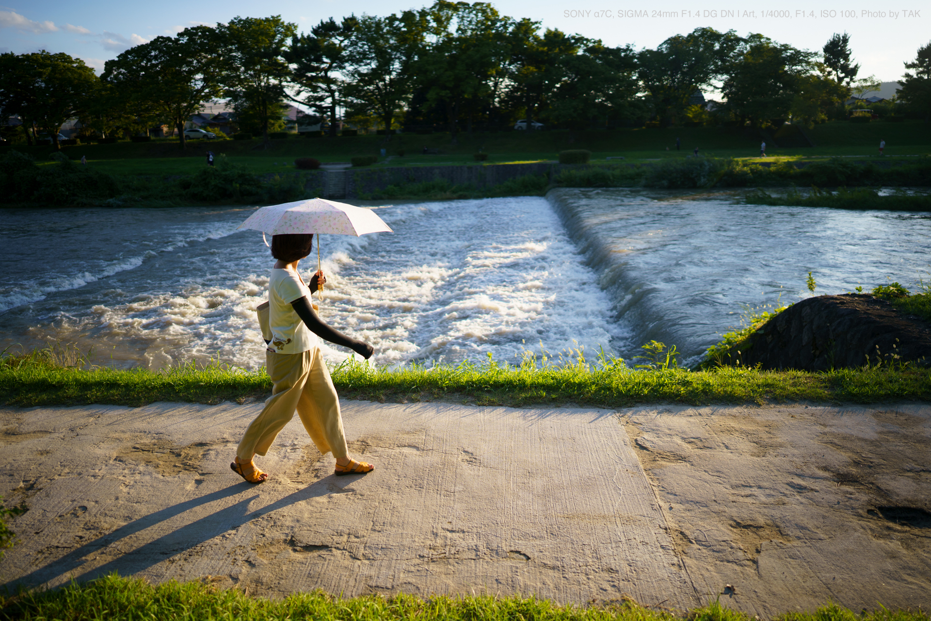 SONY α7C, SIGMA 24mm F1.4 DG DN | Art, 1/4000, F1.4, ISO 100, Photo by TAK