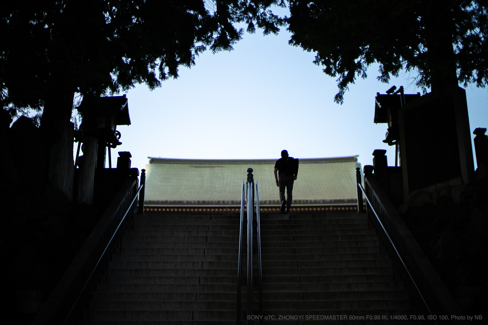 ZHONGYI（中一光学） SPEEDMASTER 50mm F0.95 III 実写レビュー