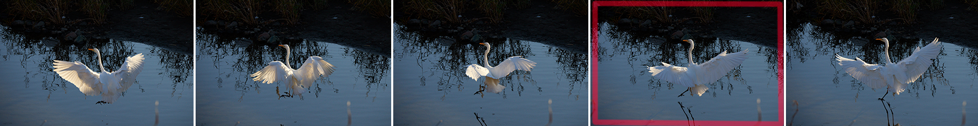 EOS R10, RF-S18-150mm F3.5-6.3 IS STM, Photo by A.Inden