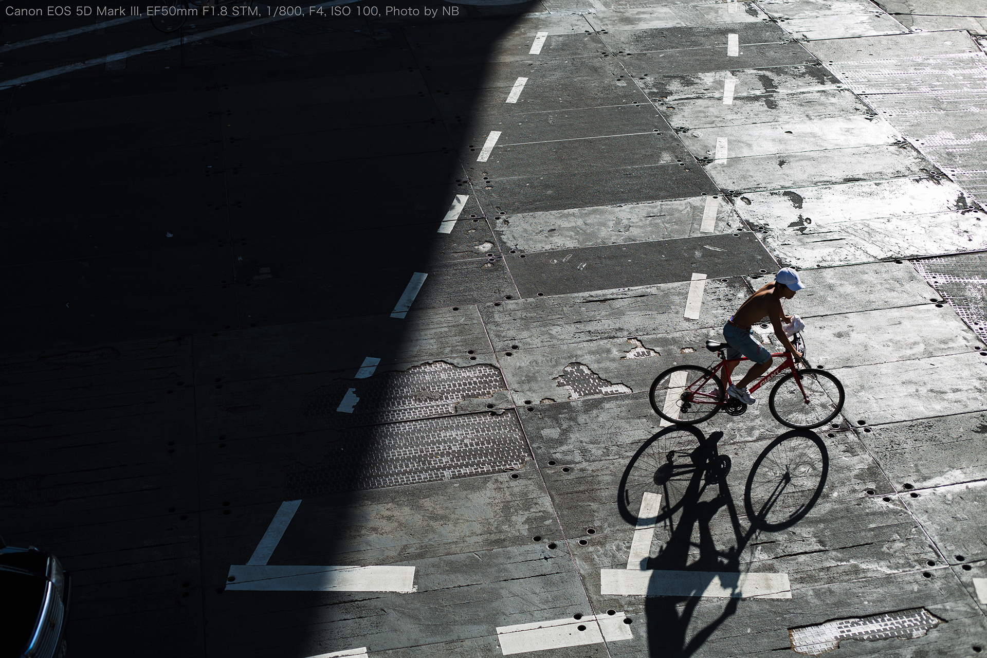 Canon EF50mm F1.8 STM SHOOTING REPORT | PHOTO YODOBASHI