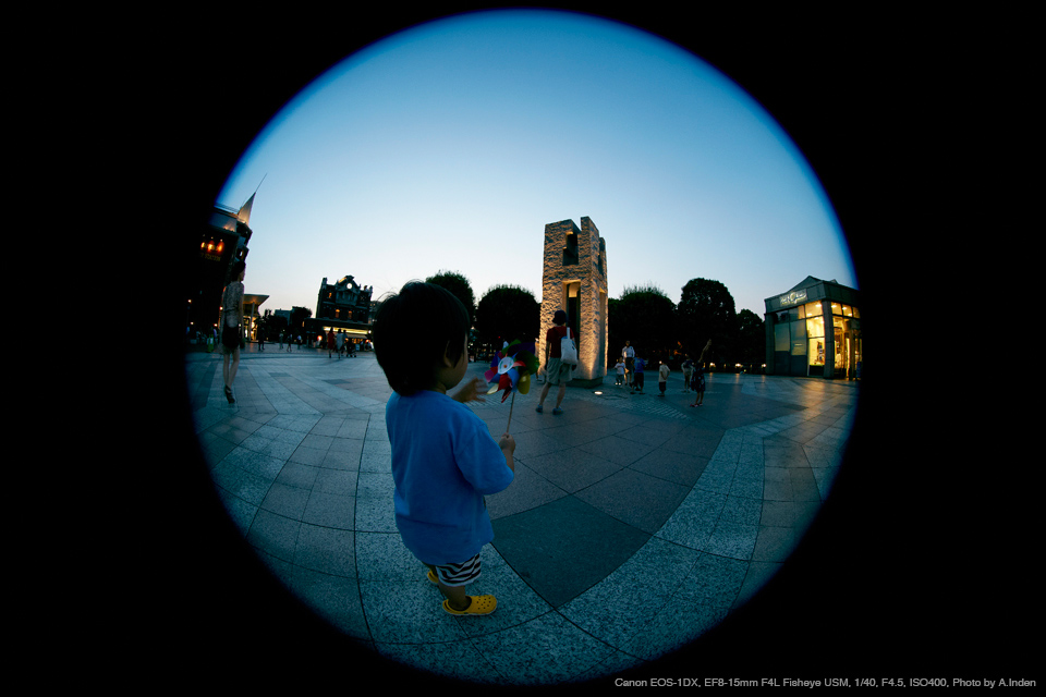 EF 8-15mm F4 L Fisheye USM キャノン 魚眼レンズ - カメラ