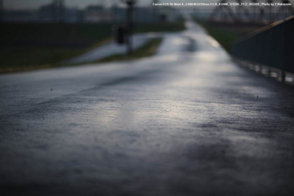 Canon（キヤノン） EF85mm F1.2L ll USM 実写レビュー | フォトヨドバシ