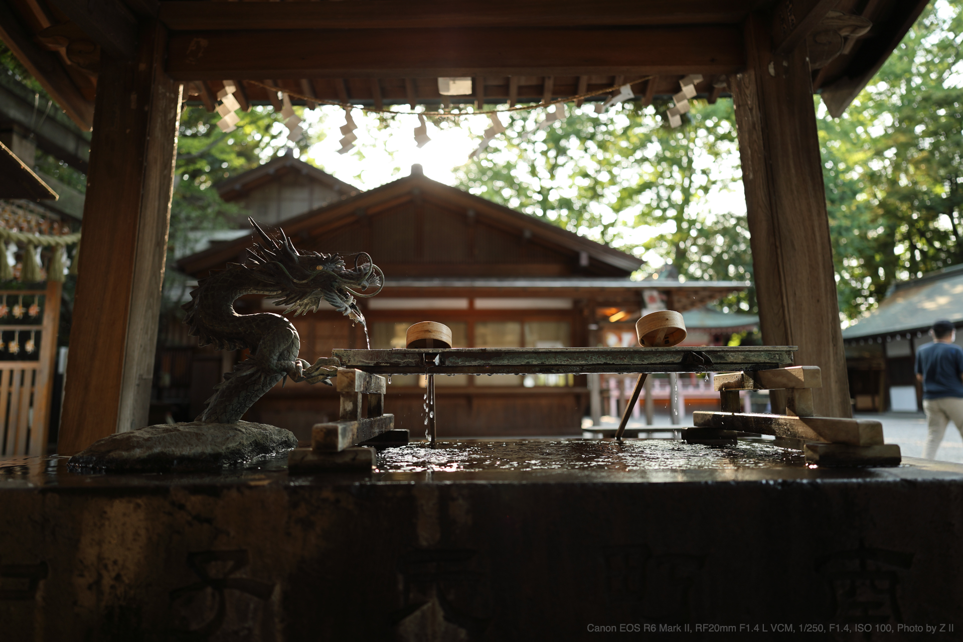 Canon EOS R6 Mark II, RF20mm F1.4 L VCM, Photo by Z II