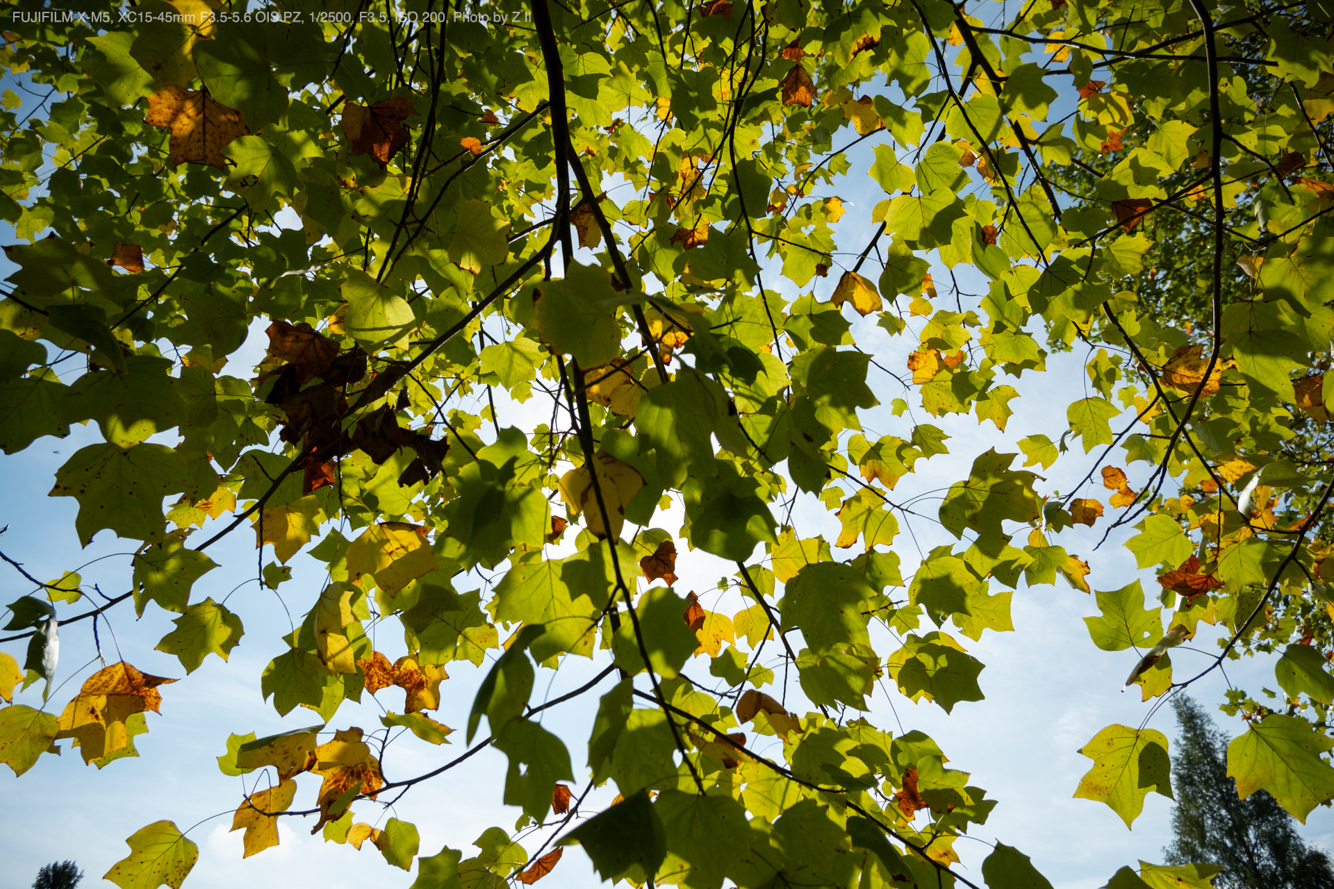 FUJIFILM X-M5, XC15-45mm F3.5-5.6 OIS PZ, Photo by Z II