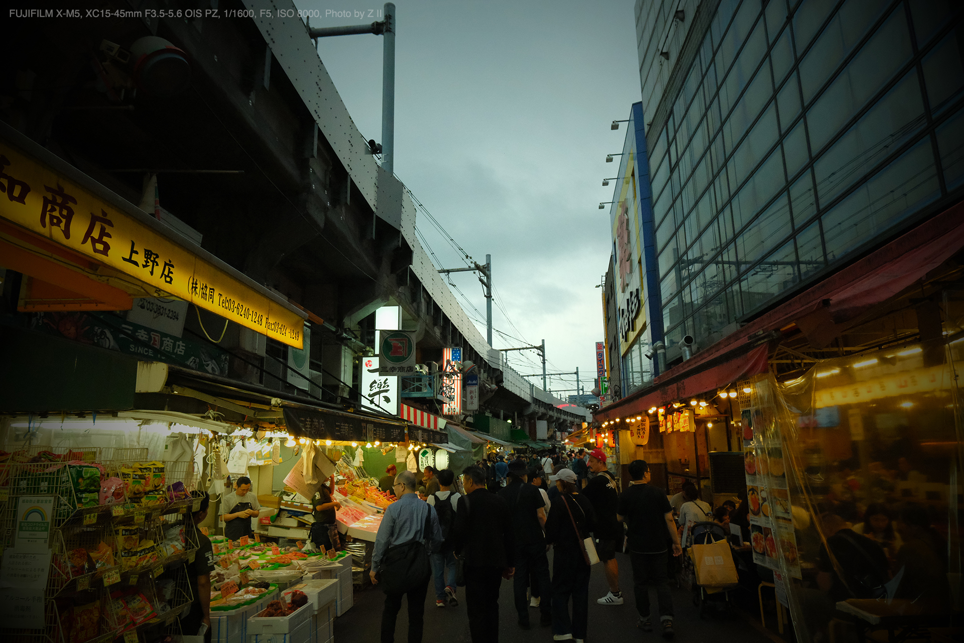 FUJIFILM X-M5, XC15-45mm F3.5-5.6 OIS PZ, Photo by Z II