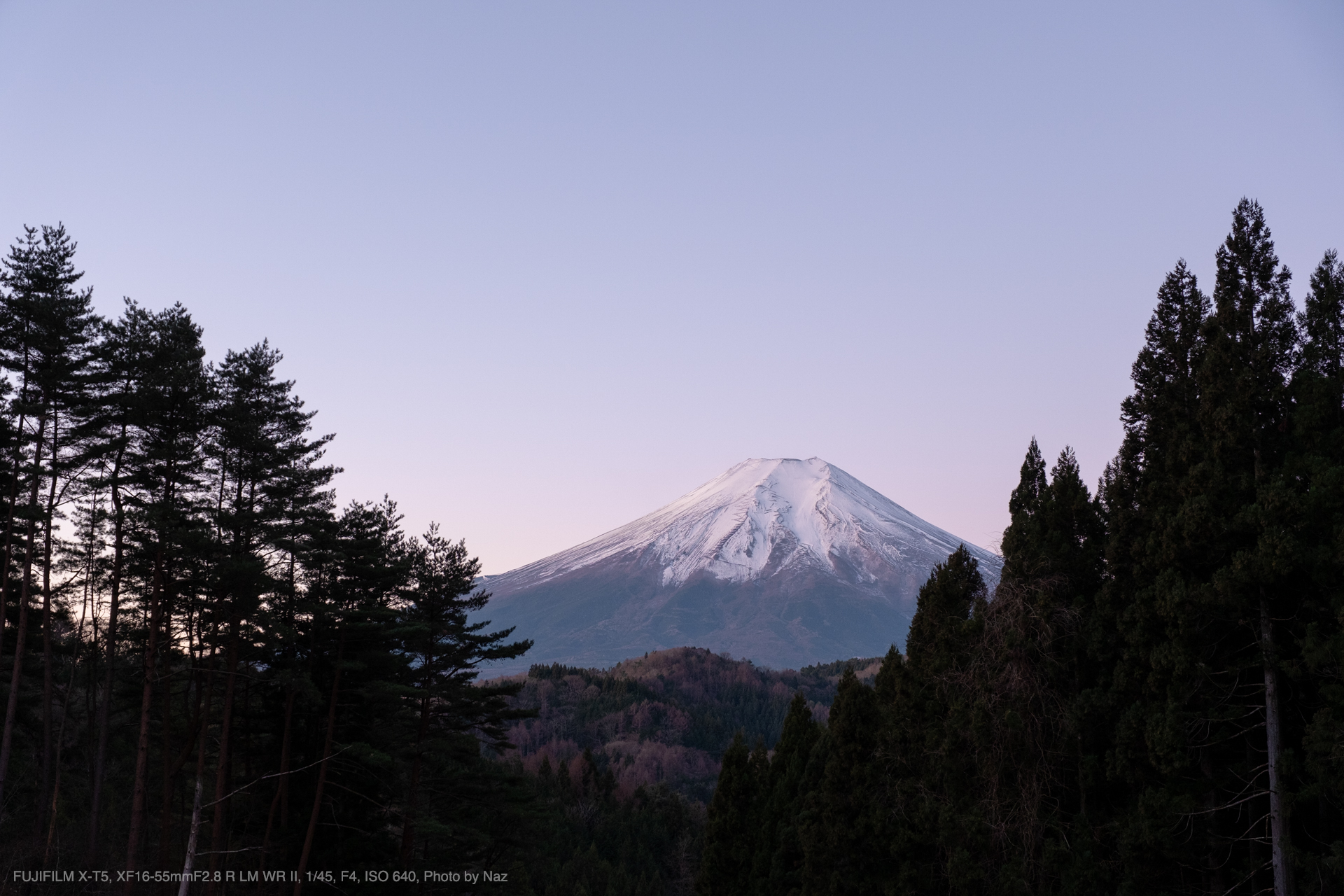 FUJIFILM X-T5, XF16-55mmF2.8 R LM WR II, Photo by Naz