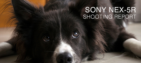 SONY NEX-5R | SHOOTING REPORT