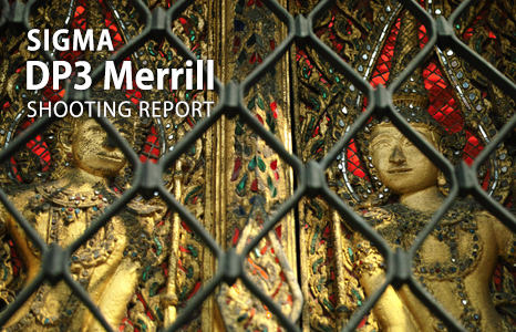 SIGMA DP3 Merrill SHOOTING REPORT