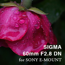 SIGMA 60mm F2.8 DN for SONY E-MOUNT