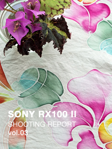SONY RX100 II SHOOTING REPORT vol.03