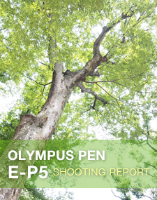 OLYMPUS PEN E-P5 SHOOTING REPORT