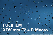 FUJIFILM XF60mm F2.4 R Macro